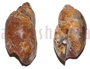 Heera Shankh 095 48m